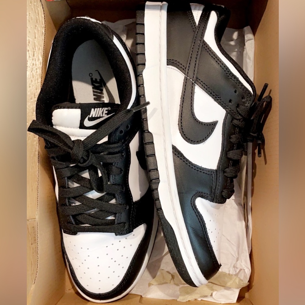 Nike Panda Low Dunk Retro